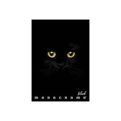 Pigna Monocromo Black - Quaderno - graffettato - A4 - 19 fogli - quadrettato - disponibile in colori assortiti