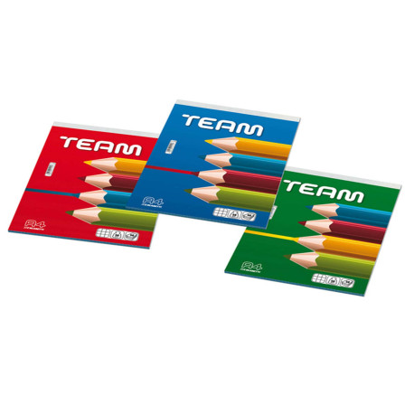 Blocco note Team - 5 mm - 21 x 29,7 cm - 50 gr - 50 fogli - Blasetti