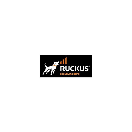 Ruckus - Cavo applicazione diretta 40GBase - QSFP (M) a QSFP (M) - 5 m - biassiale - attivo