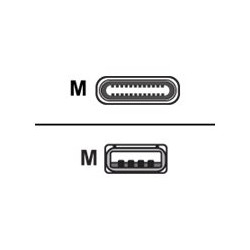Ruckus - Cavo USB - 24 pin USB-C (M) a USB (M) - USB 2.0 - 1 m - per ICX 8200-48PF