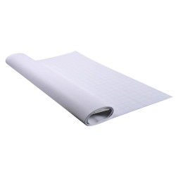 Blocco per lavagna - 65 x 100cm - 48 fogli - 60gr - quadretti 2,5cm - Exacompta