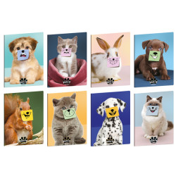 Maxiquaderno Pets-IT - A4 - 5mm - 21 fogli - 80 gr - Blasetti