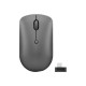 Lenovo 540 Wireless Compact - Mouse - compact - ottica - 4 pulsanti - senza fili - 2.4 GHz - ricevitore wireless USB-C - grigio