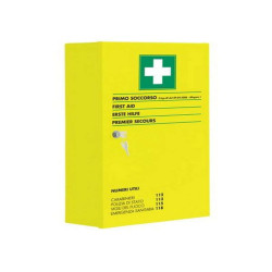 Armadietto pensile metallo FLUO Allegato 1 cat. AB(oltre 2 dip.) cm.30x50x12 con sfigmomanometro