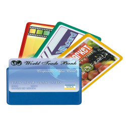 Busta porta card - 5,8 x 8,7 cm - 1 tasca - colori assortiti - Sei Rota