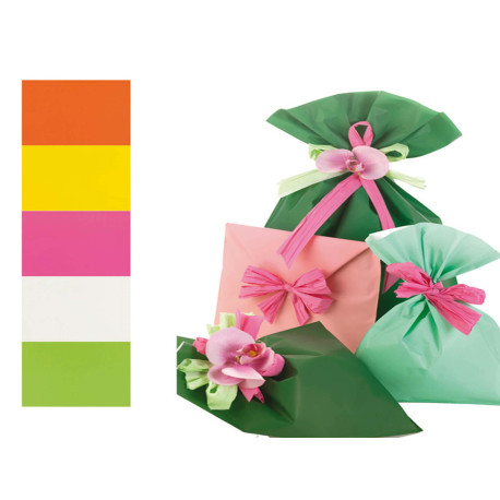 Busta regalo Mat Pearly B - 25 x 40 cm - 40 micron - PPL - assortimento 5 colori - PNP - conf. 100 pezzi