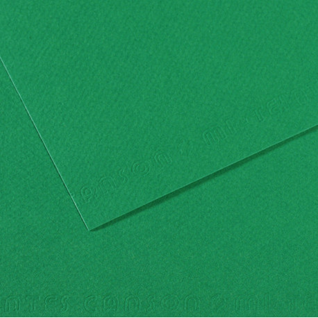 Foglio Mi-Teintes - A4 - 160 gr - verde biliardo - Canson