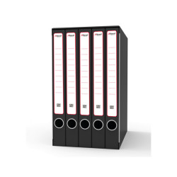 Gruppo registratori Quintetto - 23 x 32 cm - con 5 cartelle ad anelli - dorso 23 cm - grigio - Rexel