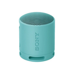 Sony SRS-XB100 - Altoparlante - portatile - senza fili - Bluetooth - Controllato da app - blu