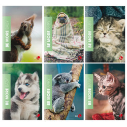 Maxiquaderno Be More Baby - A4 - rigo di 3a - 36+2 fogli - 100gr - BM