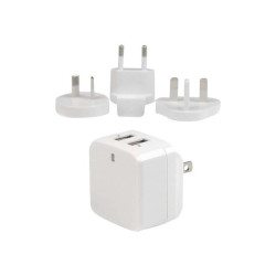 StarTech.com Caricabatterie da Muro a doppia porta x2 USB ad alta potenza ( 17W / 3.4 Amp ) Alimentatore USB da viaggio (Intern