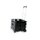 Carrello pieghevole con cassa in plastica - portata max 25 kg - X-Robust