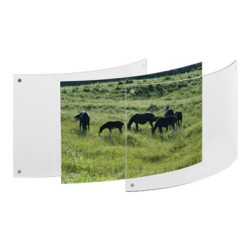 TECNOSTYL PFM05 - Portafoto - Progettato Per: A4 (21x29.7 cm) - plexiglass - rettangolare