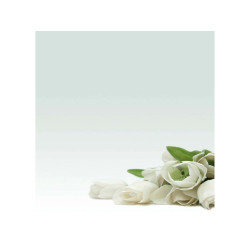 Carta con stampa "rosa bianca" - A4 - 90 gr - Decadry - conf. 20 fogli