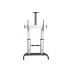 StarTech.com Mobile TV Stand girevole su ruote - Carrello porta TV resistente per schermi da 60-100" (100kg) - Supporto TV (STN