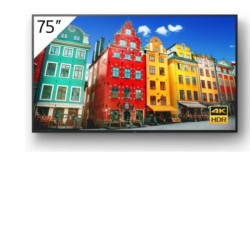 4K 75 ANDROID PROFESSIONAL BRAVIA