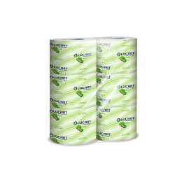 Carta igienica Eco - 2 veli - 16,5 gr - diametro 10,2 cm - 9,8 cm x 22 mt - 200 strappi - Lucart - pacco 6 rotoli fascettati si