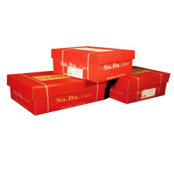 Carta in modulo continuo - 24 x 12 " - 60 gr - piste staccabili - lettura facile grigio - Sabacart - conf. 2000 fogli