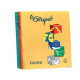 Carta Le Cirque - A4 - 160 gr - mix 5 colori intensi - Favini - conf. 250 fogli