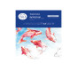 Carta per acquarello Talento - A3 - 300 gr/m2 - MUSA - conf. 10 fogli