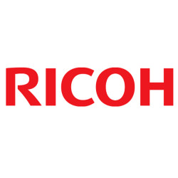 Ricoh - Unità di fusione - 402719 - 120.000 pag