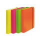 Cartella progetto Shocking File - con elastico - 24 x 35 cm - colori fluo assortiti - Fellowes