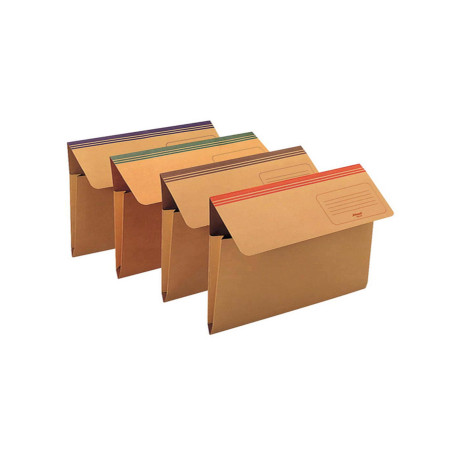 Cartellina a busta Dixie Mec - 200 gr - 33,7 x 26,2 cm - cartoncino avana - colori assortiti - Rexel