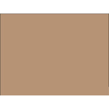 Cartine antigrasso per alimenti - 20 x 32,5 cm - avana - Leone - conf. 500 pezzi