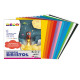Cartoncino Bristol - 50 x 70 cm - 200 gr - colori assortiti - 15 fogli - Deco