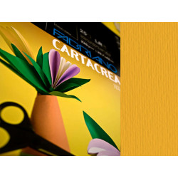 Cartoncino CartaCrea - 35 x 50 cm - 220 gr - avana - Fabriano -  blister 10 fogli