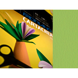 Cartoncino CartaCrea - 35 x 50 cm - 220 gr - verde pisello - Fabriano - blister 10 fogli