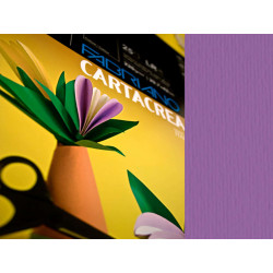 Cartoncino CartaCrea - 35 x 50 cm - 220 gr - viola - Fabriano - blister 10 fogli