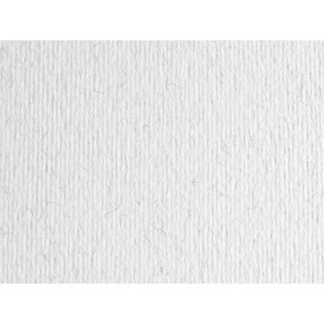 Cartoncino Elle Erre - 50 x 70 cm - 220 gr - brina 29 - Fabriano - blister 20 fogli