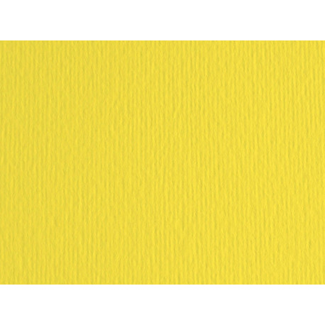 Cartoncino Elle Erre - 50 x 70 cm - 220 gr - cedro 25 - Fabriano - blister 20 fogli