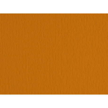 Cartoncino Elle Erre - 50 x 70 cm - 220 gr - terra bruciata 119 - Fabriano - blister 20 fogli