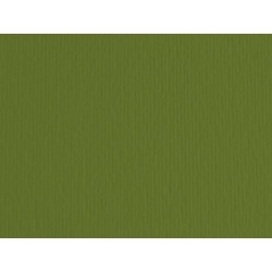 Cartoncino Elle Erre - 50 x 70 cm - 220 gr - verdone 28 - Fabriano - blister 20 fogli