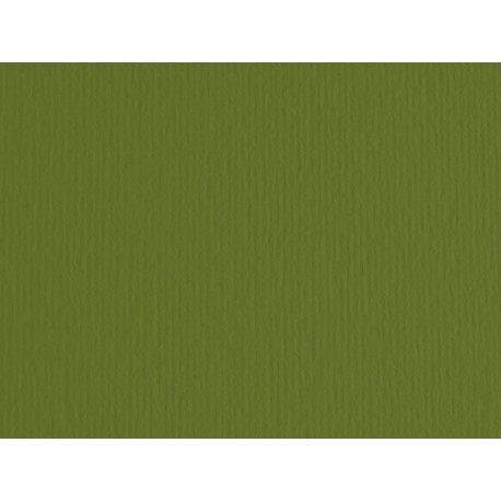 Cartoncino Elle Erre - 50 x 70 cm - 220 gr - verdone 28 - Fabriano - blister 20 fogli