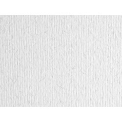 Cartoncino Elle Erre - 70 x 100 cm - 220 gr - brina 129 - Fabriano - blister 10 fogli