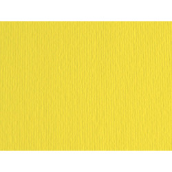 Cartoncino Elle Erre - 70 x 100 cm - 220 gr - cedro 125 - Fabriano - blister 10 fogli