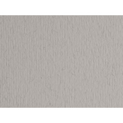 Cartoncino Elle Erre - 70 x 100 cm - 220 gr - china 130 - Fabriano - blister 10 fogli