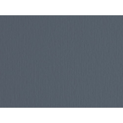 Cartoncino Elle Erre - 70 x 100 cm - 220 gr - ferro 122 - Fabriano - blister 10 fogli