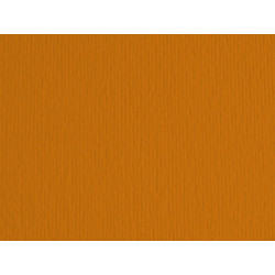 Cartoncino Elle Erre - 70 x 100 cm - 220 gr - terra bruciata 119 - Fabriano - blister 10 fogli