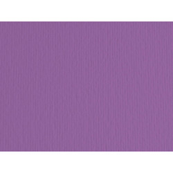 Cartoncino Elle Erre - 70 x 100 cm - 220 gr - viola 104 - Fabriano - blister 10 fogli