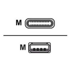 Zebra - Cavo USB - USB (M) a USB-C (M) - Worldwide (pacchetto di 5)