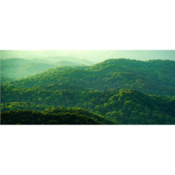 Dell Technologies S3225QS Dell 32 Plus 4K