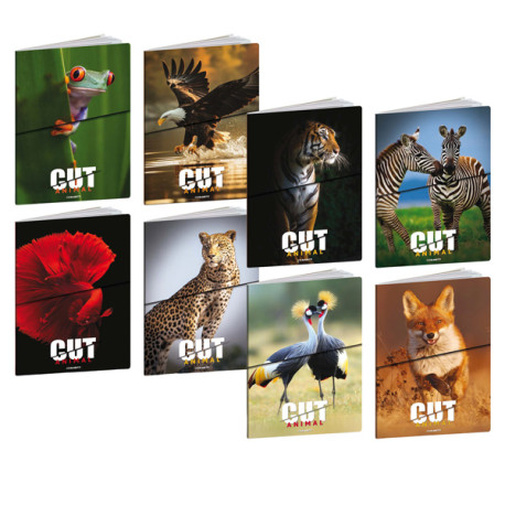 Maxiquaderno Animal Cut - A4 - 4mm - 21 fogli - 80 gr - Blasetti