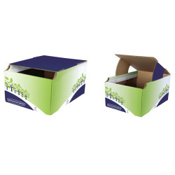 Cestino riciclo - 24,8 x 23,5 x 31,4 cm - verde/blu - Fellowes