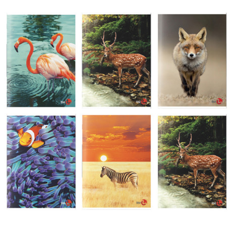 Maxiquaderno Animal fantasia - A4 - rigo di 3a - 40+2 fogli - 80gr - BM