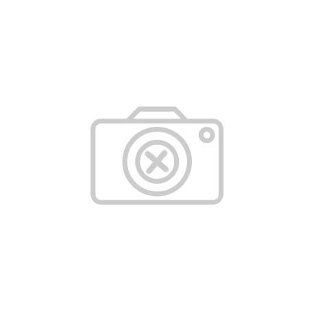 CF12CARTELLINE 3 LEMBICOL. ASSORTIT