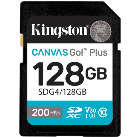 Kingston SD Canvas Go! Plus 128GB